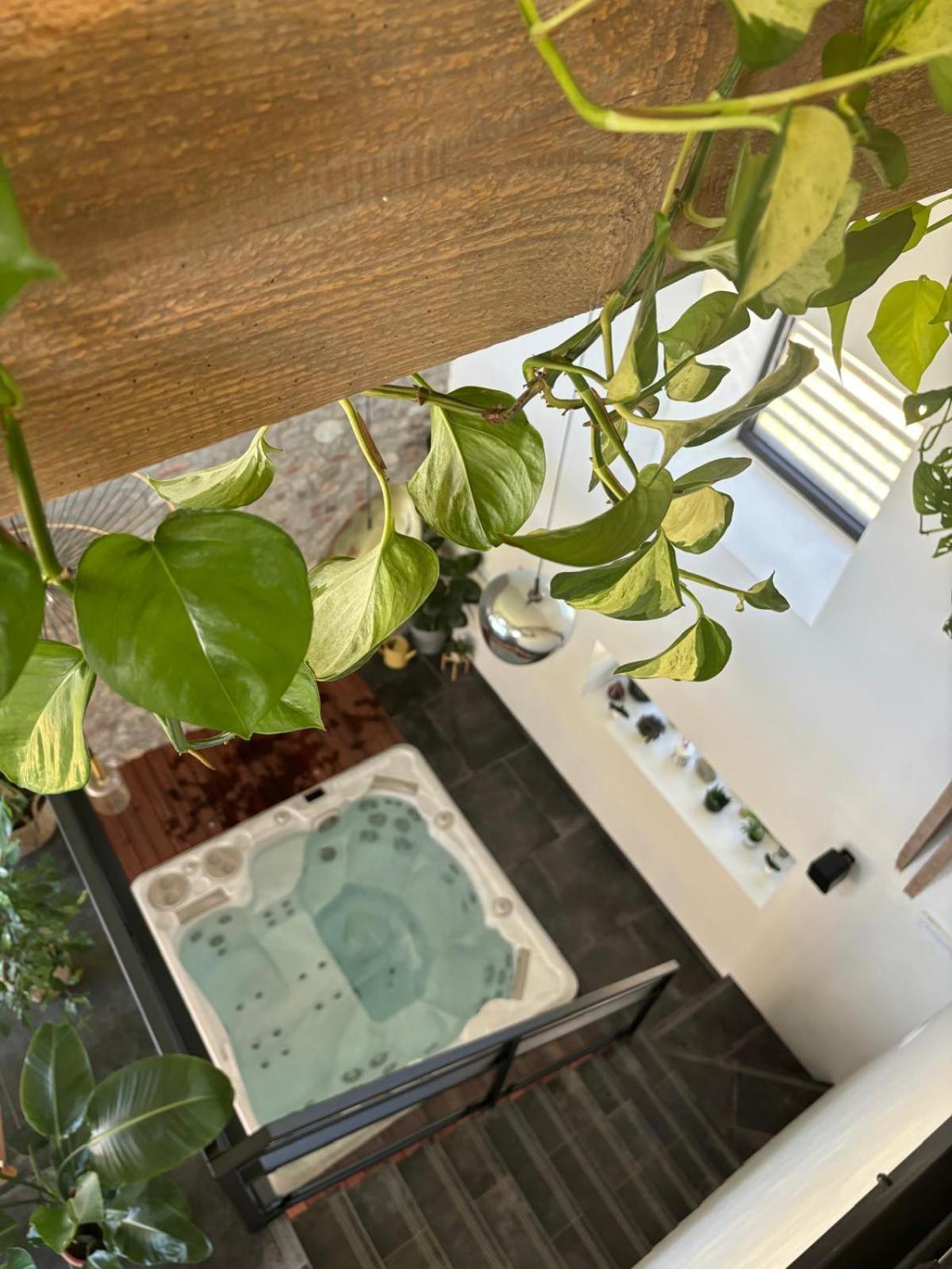 La Tour Obin Bed and Breakfast Philippeville Værelse billede